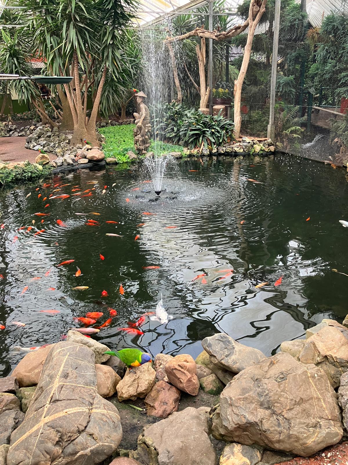 Foto 42 bij Artikel Uitje naar de Orchideenhoeve in Luttelgeest.